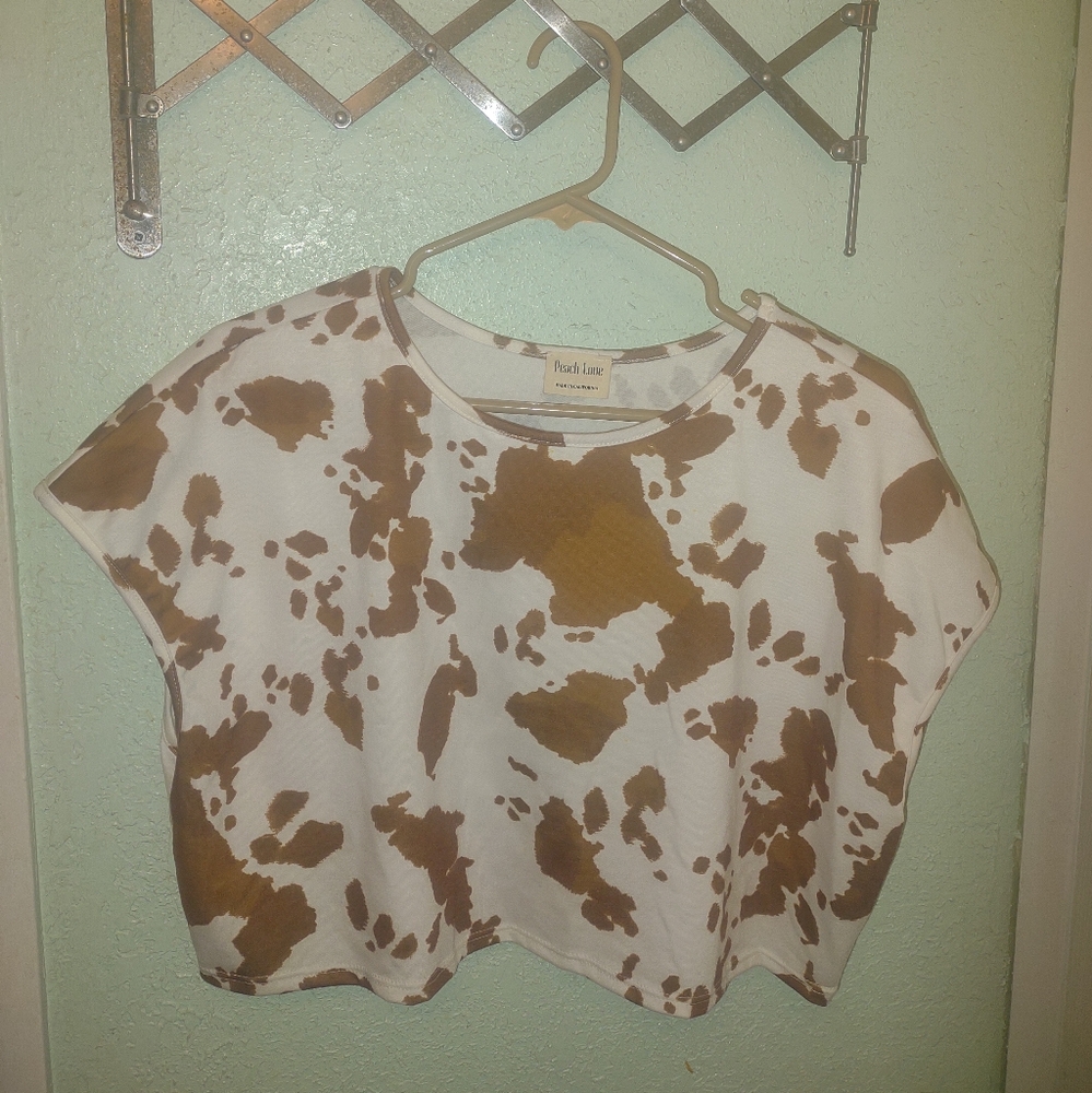 Brown and White Cropped Top